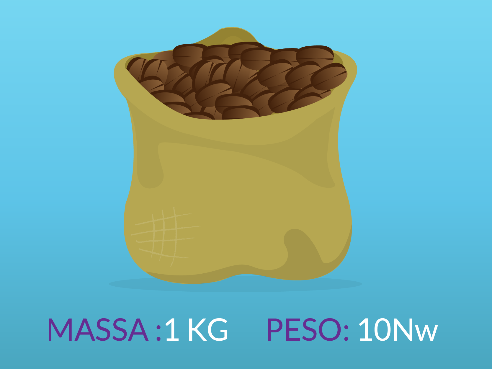 Um saco com uma massa de 1 quilo tem um peso de 10 Newtons.