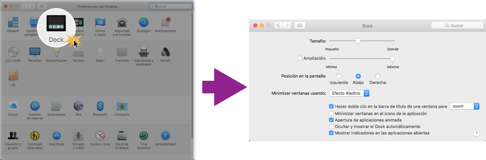 Imagen ejemplo de la opción Dock en la ventana de Preferencias de sistema.
