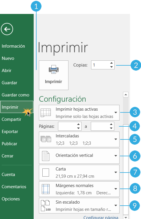 Imagen numerada con las partes del panel Imprimir.