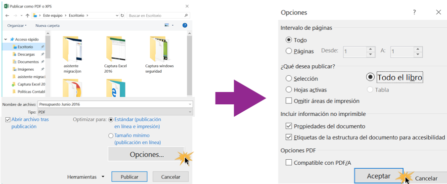 Imagen ejemplo de Opciones para exportar un documento a PDF.