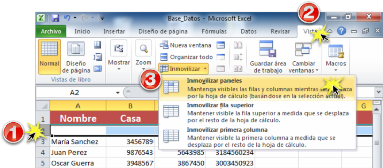 Imagen ejemplo de los pasos para inmovilizar filas o columnas en Excel 2010.