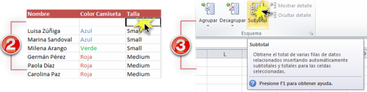 Imagen ejemplo de los pasos 2 y 3 para agrupar datos en subtotales en Excel 2010.