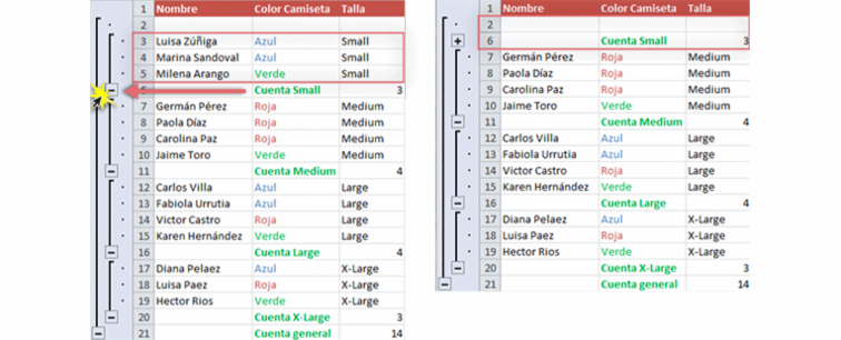 Imagen ejemplo de cómo ocultar datos en Excel 2010.