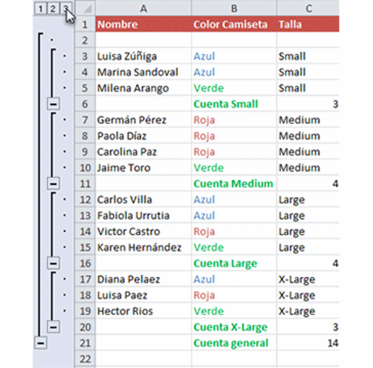 Imagen ejemplo de una hoja de calculo con el nivel más alto seleccionado al trabajar con datos ya organizados en Excel 2010.