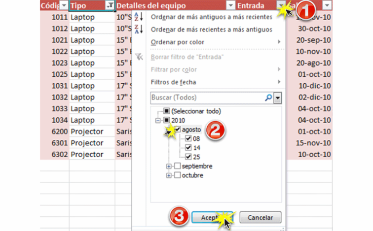 Imagen ejemplo de los pasos a seguir para agregar filtros adicionales en Excel 2010.