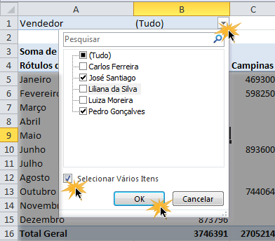 Exemplo de imagem de como ativar um filtro em uma tabela dinâmica do Excel 2010.