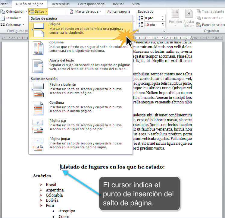 Microsoft Word 2010 Insertar Saltos De Página Hot Sex Picture