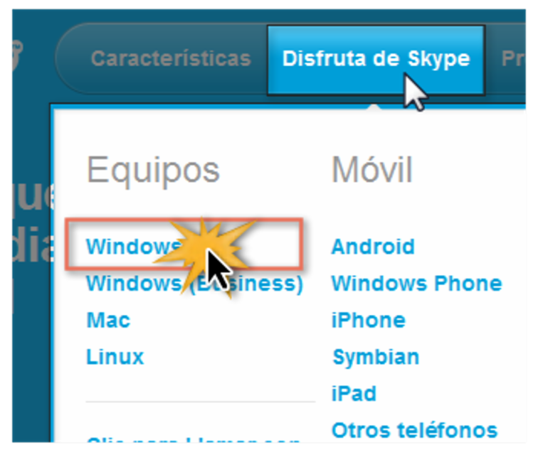 Opción Disfruta de Skype.