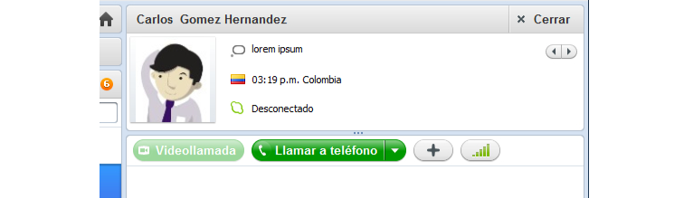 Panel derecho de Skype.