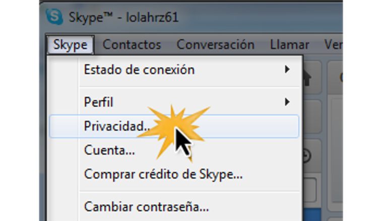 Menú desplegable de la opción Skype.