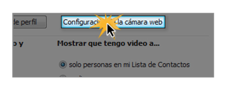 Opción configuración de la cámara web.