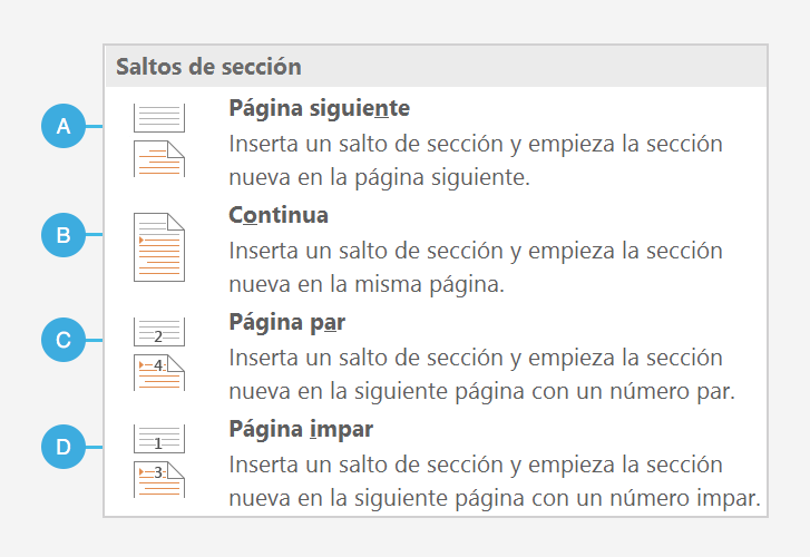 Clasificación de los saltos de sección.